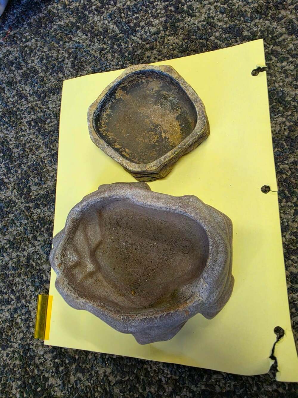 Zoo Med Reptile Water Dish Medium Rock